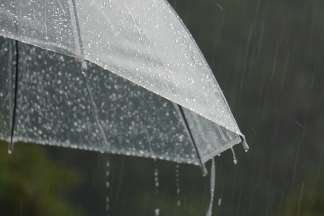 newsletter-environment-TD_flood_1.jpg